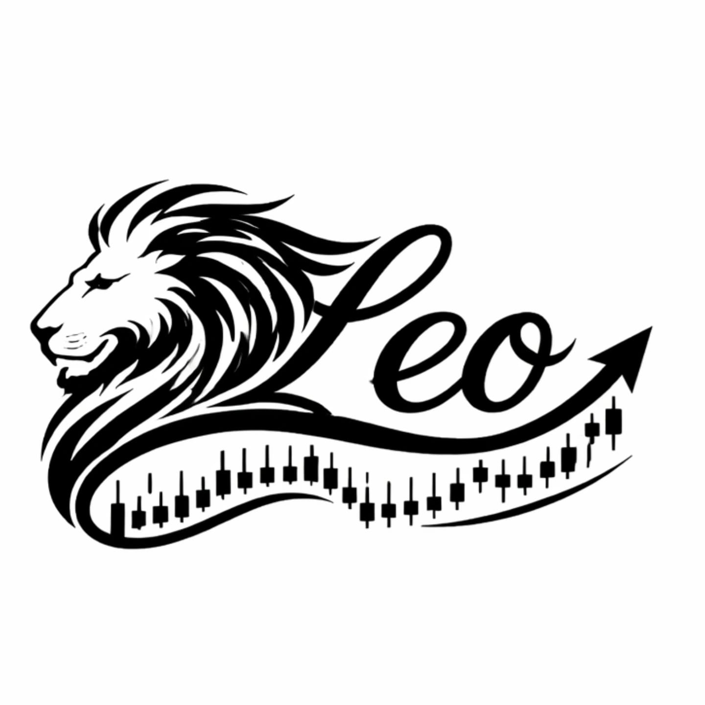 Leo Investimento